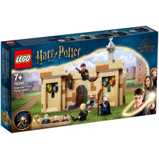 LEGO Harry Potter "Хогвартс: первый урок полётов" 76395